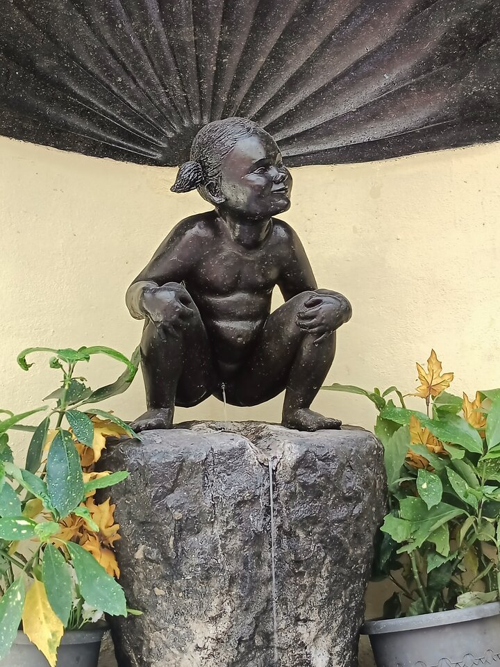 IMG20220508162541.jpg - magnetick1978