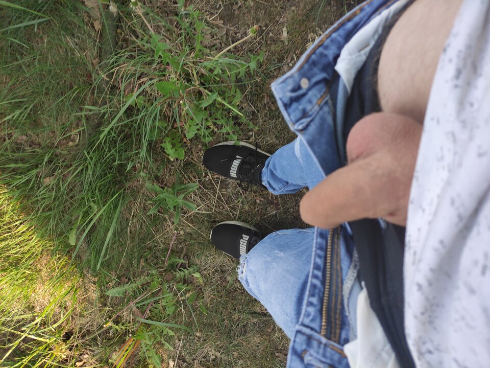 16525018335034471758624877397330.jpg - Adamadam1978