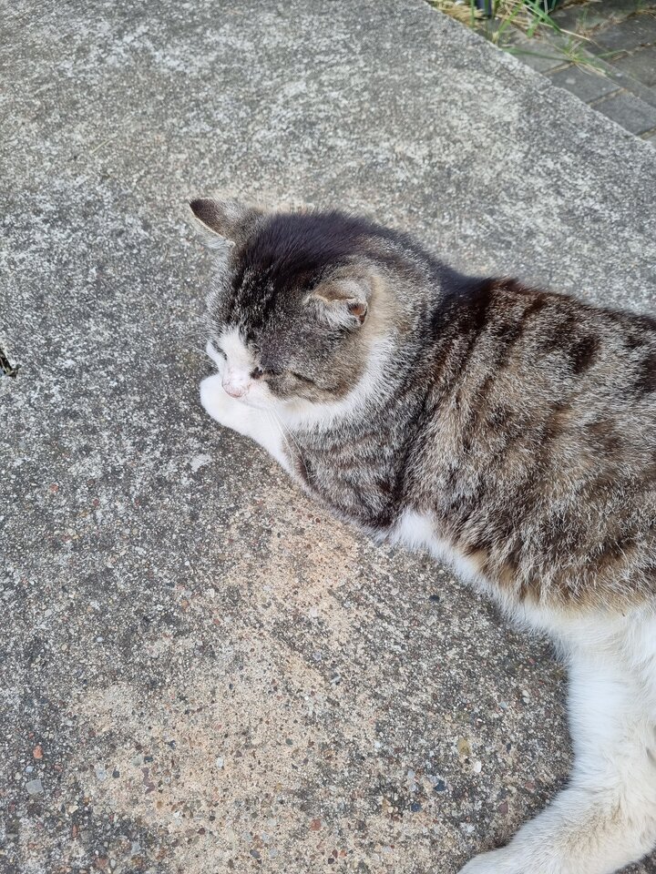 20220506_165123.jpg - ciekawy62