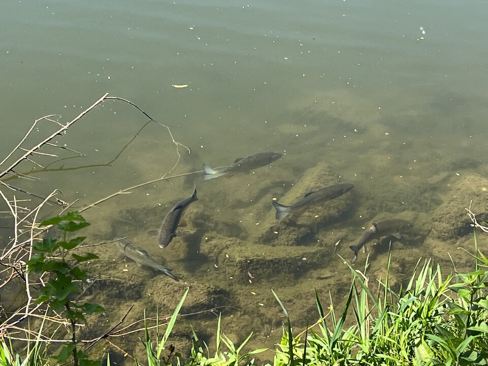 FA82F17C-37DE-49BA-AF95-A4940D204B98.jpeg - nrw670n