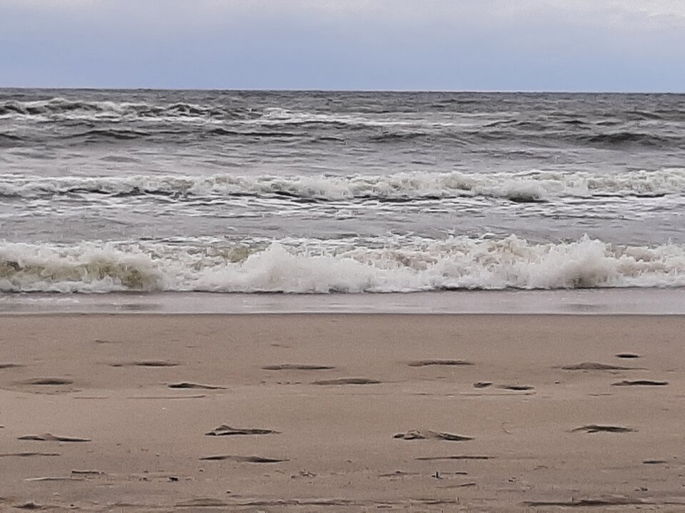 20210818_161858.jpg - ciekawy62