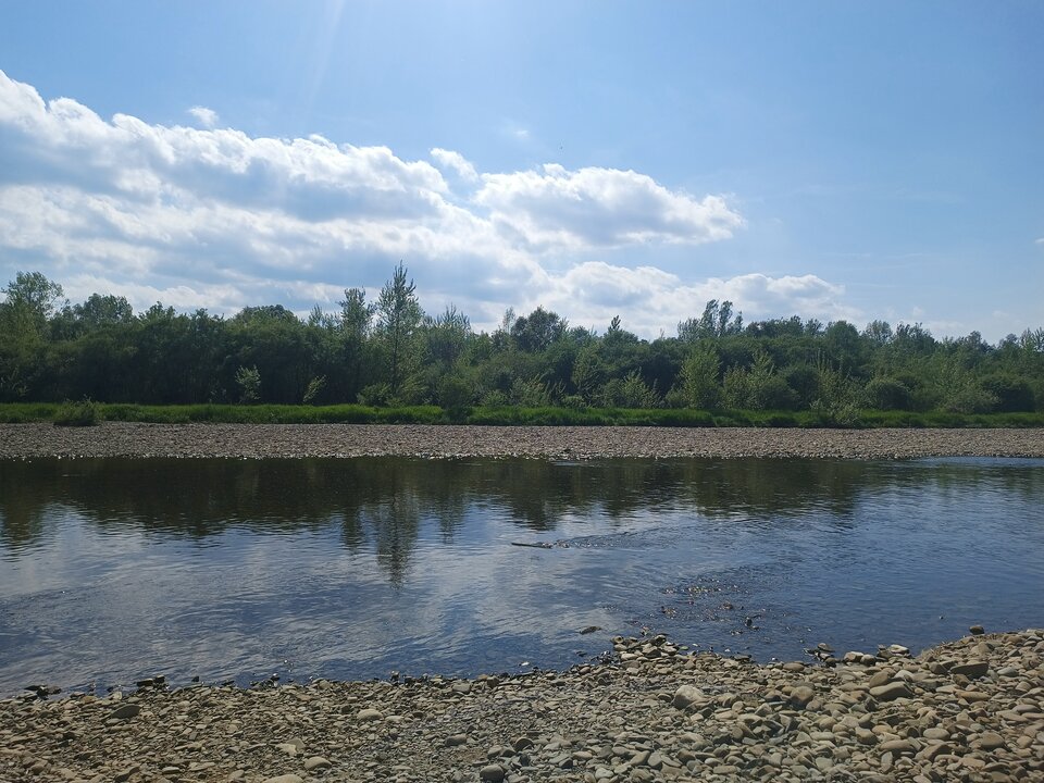 Los... Kentos... - aniewracamtuijuz5