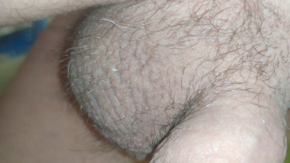 16525968254335330676229259287109.jpg - matuzalem000