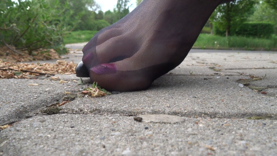 00012.MTS.Still002.jpg - zaneta201990