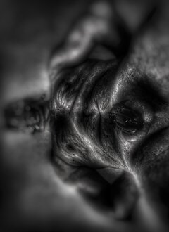 IMG_20220515_112139_edit_751670334105616-01.jpeg