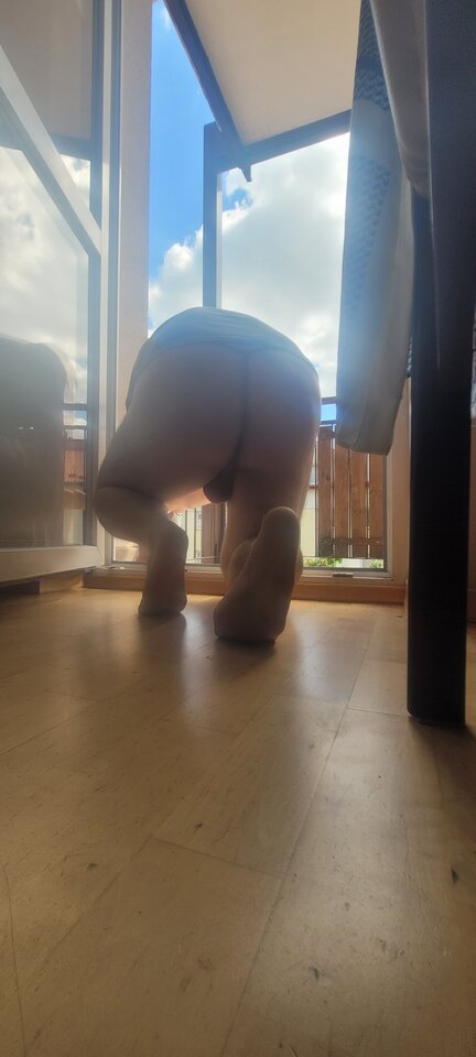 20220515_113538.jpg - jaroo1973