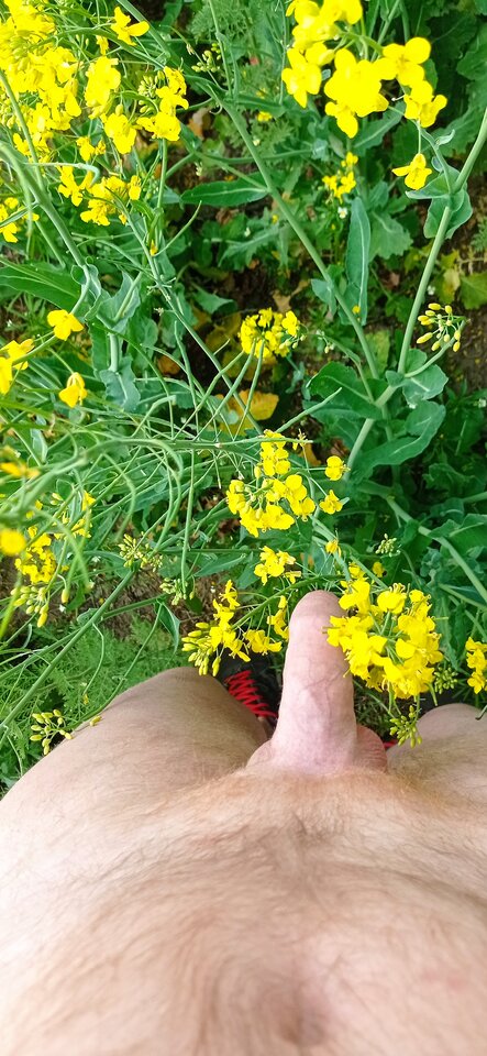 IMG_20220515_114052.jpg - Ravens80