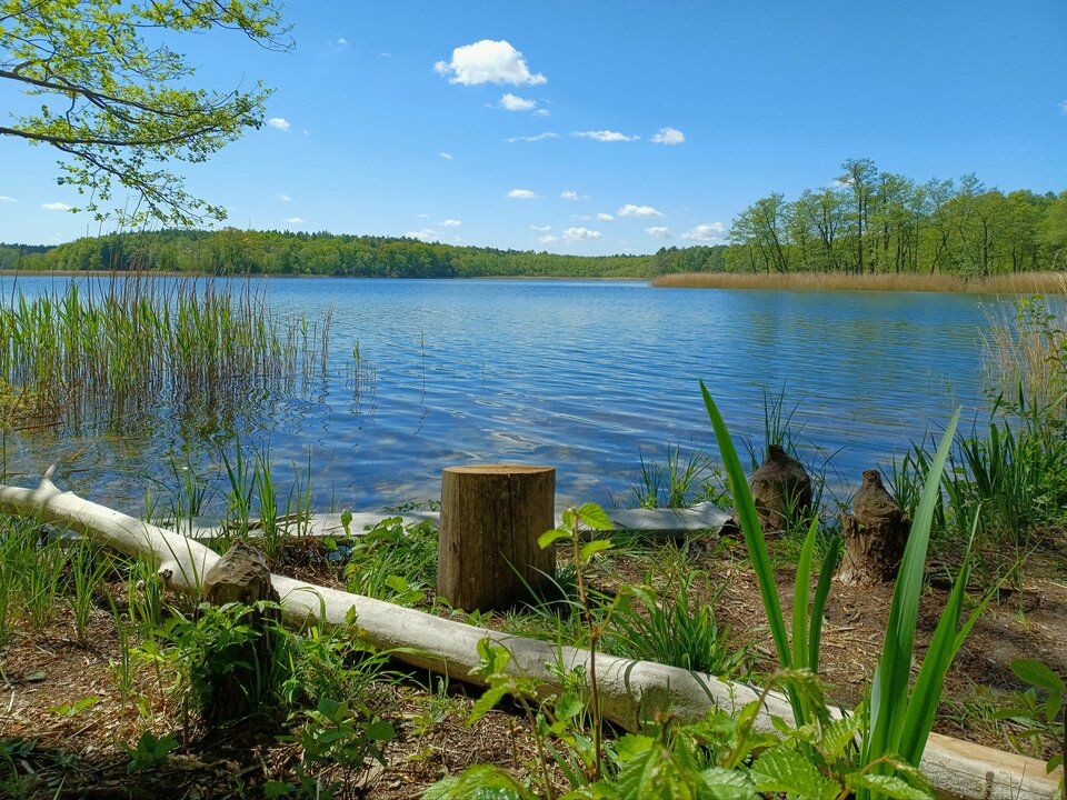 20220515_114809.jpg - Alien65