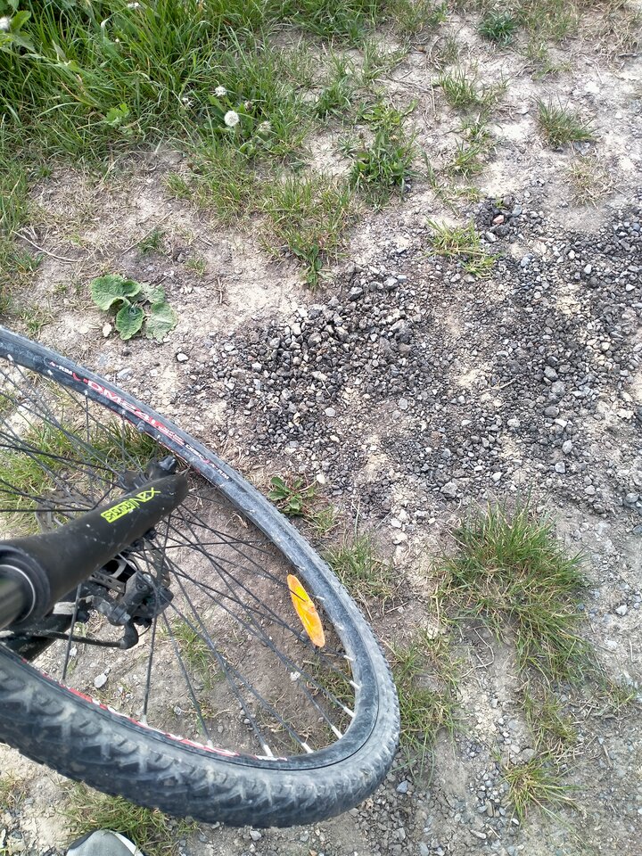 16526161149153647171070973519893.jpg - maniana35