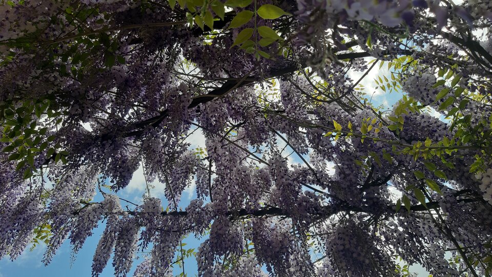 20220515_141410.jpg - Beczka69