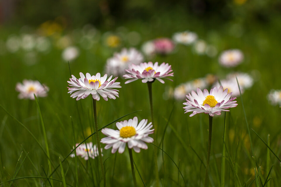 2022.05.15 004.jpg - dr8385