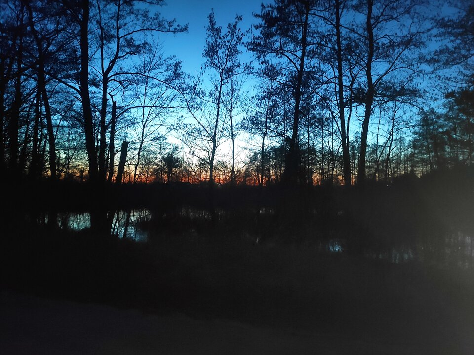 IMG_20220312_183046.jpg - lok21