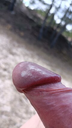 IMG20220516115647.jpg