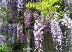 IMG_20220516_171747.jpg