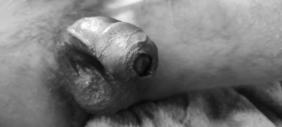 IMG_20220517_041434.jpg - danielq95