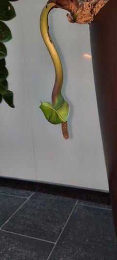 20220504_104719.jpg