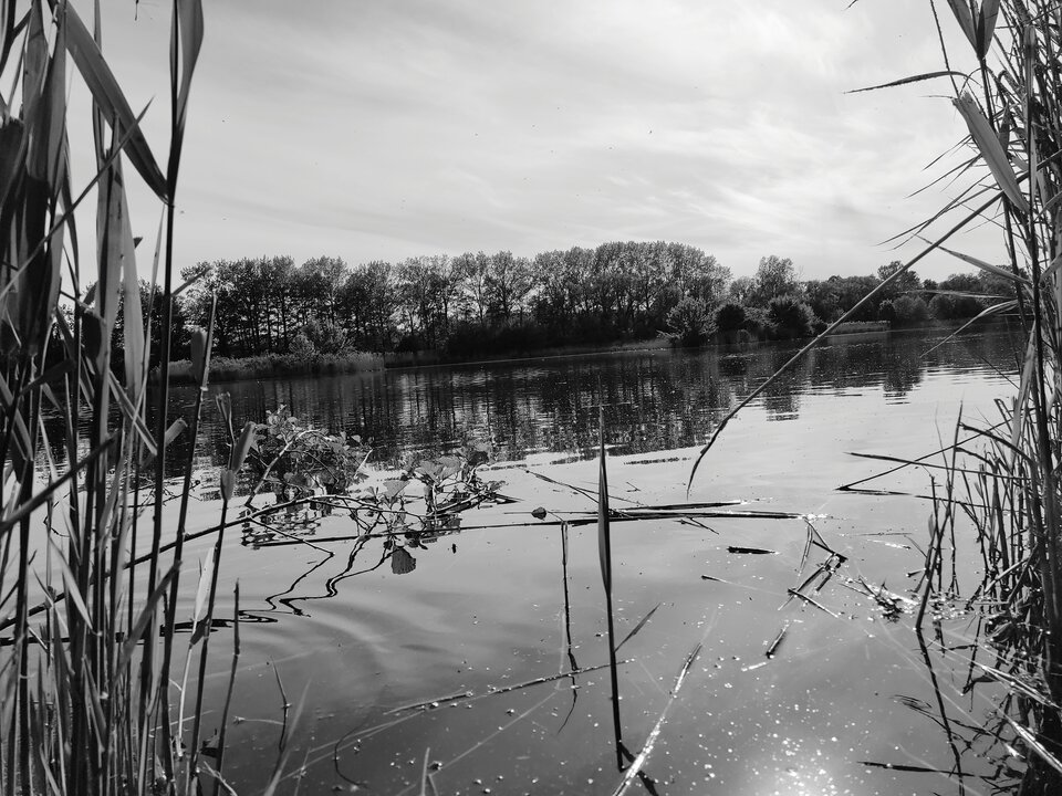 IMG_20220516_164301.jpg - kolos1985