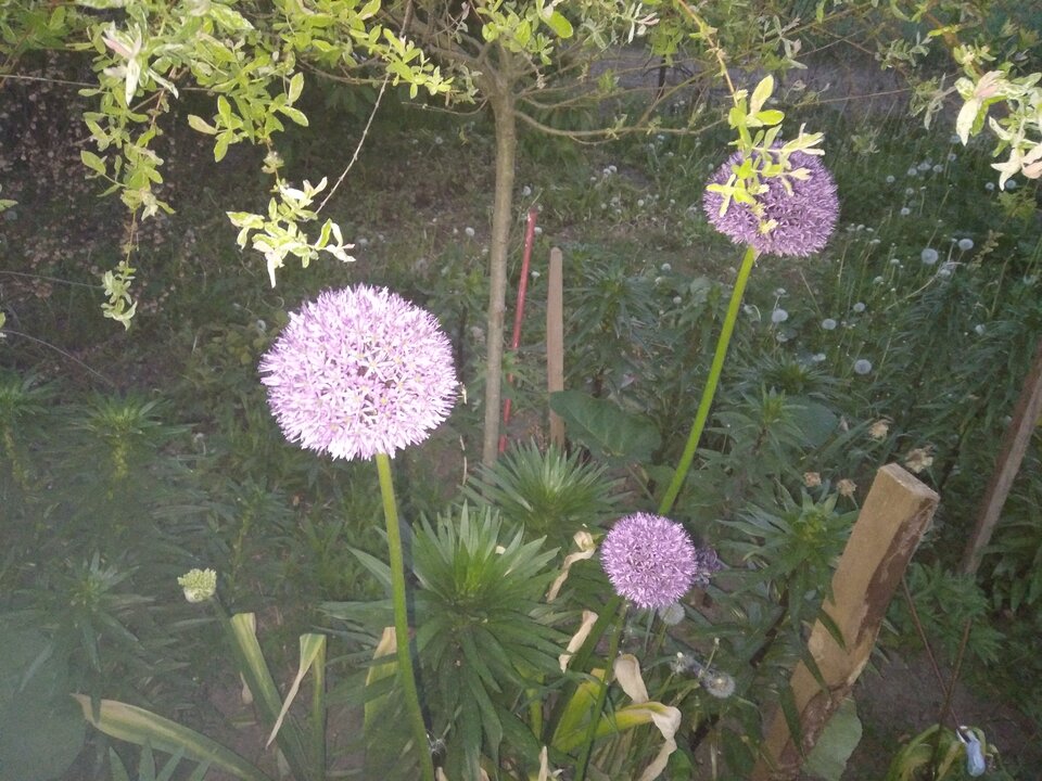 20220517_204836.jpg - Krzyszto1234