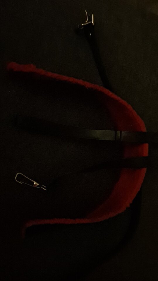 Obrozka666.jpg - SloncemZachlysnieci