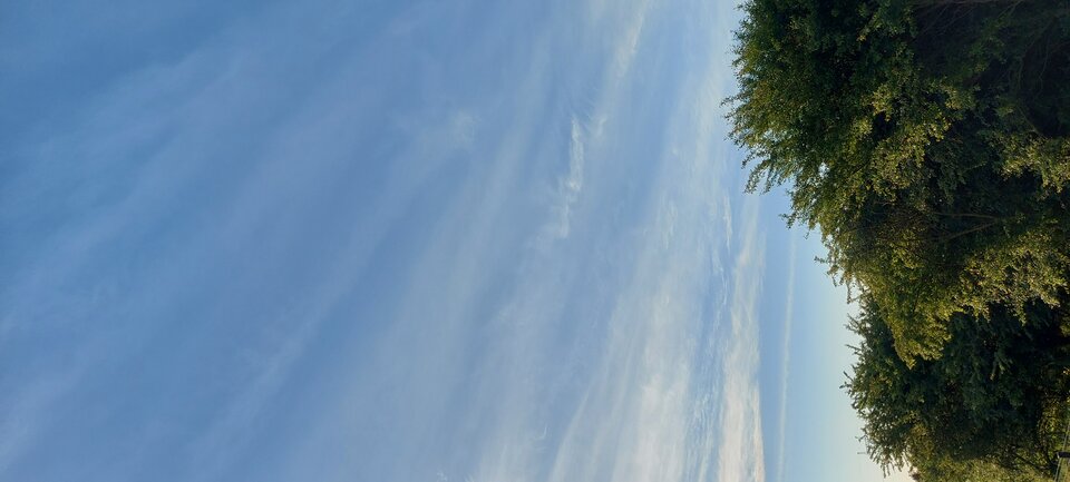 20220518_062259.jpg - misiak37szcz