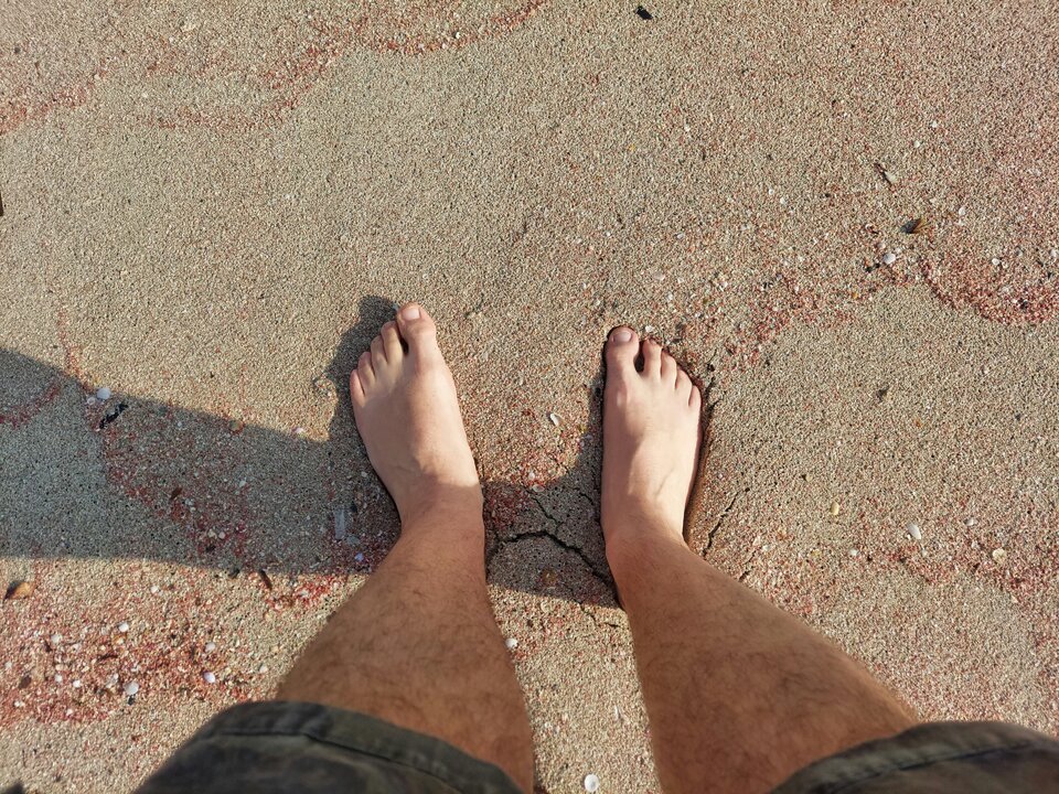 plaża.jpg - kalimbus