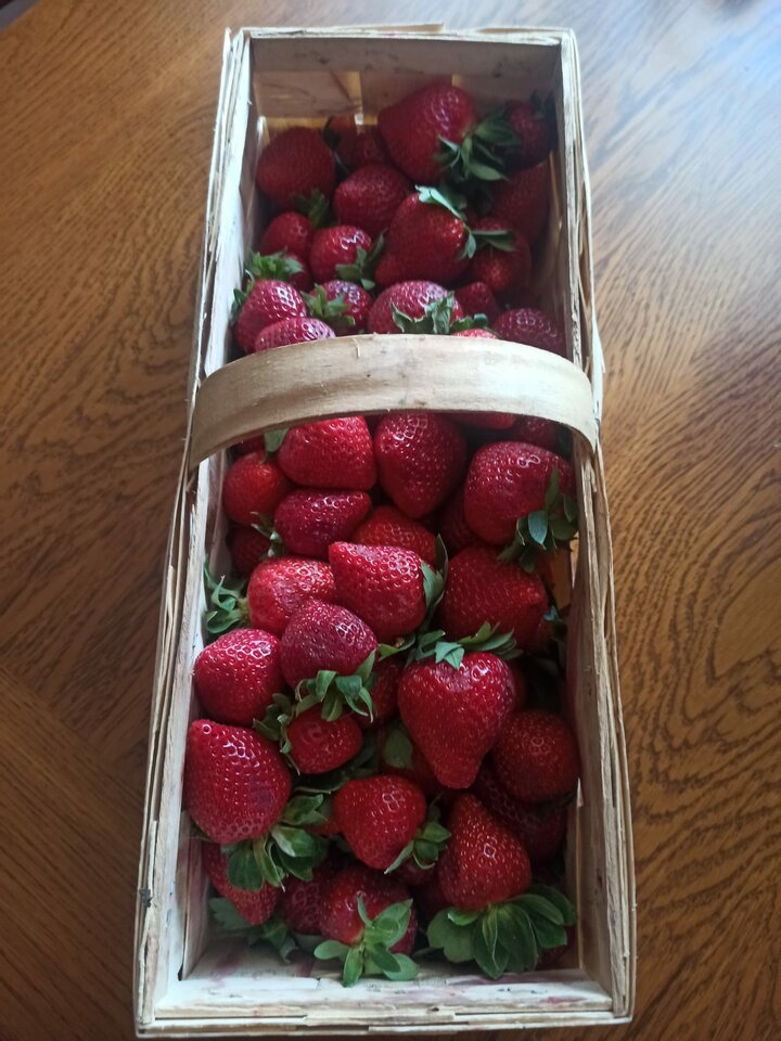 IMG-20220515-WA0001.jpg - Realparakrk