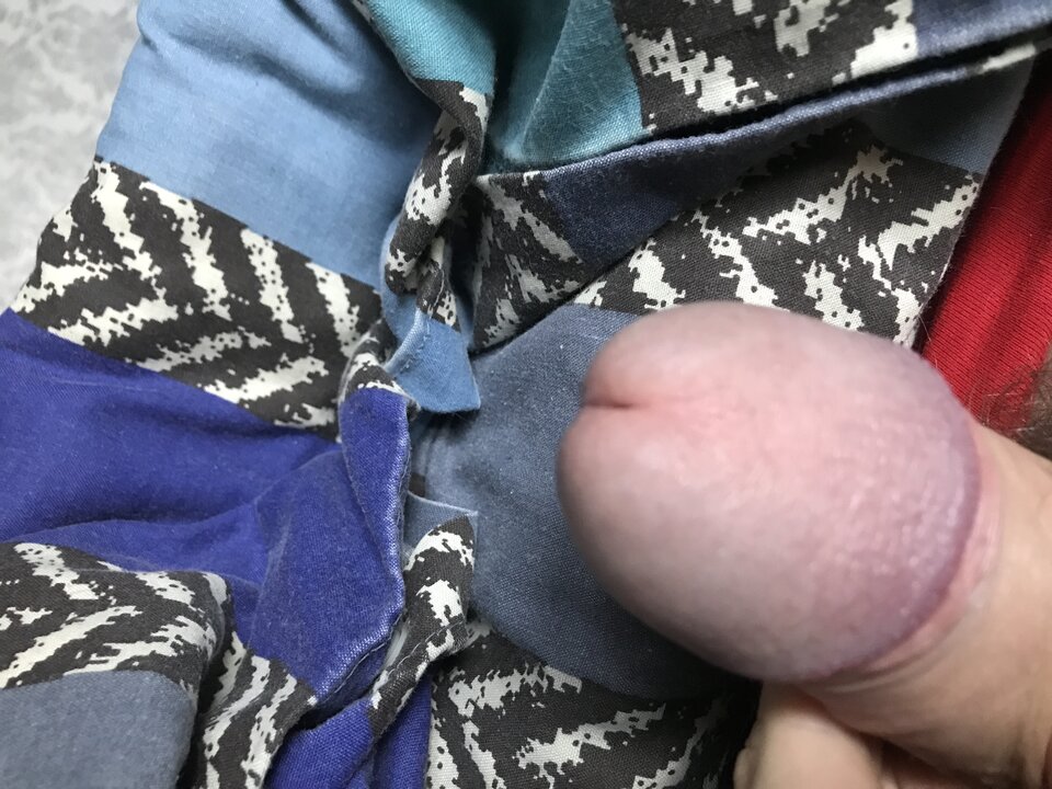 image.jpg - Tygryss19