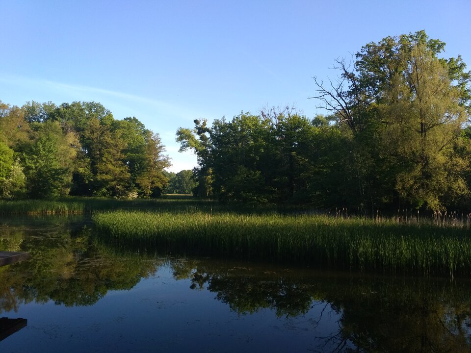 IMG_20220519_064634.jpg - Jorguu