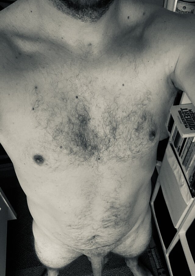 Johny_the_Bull