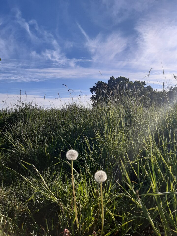 20220517_180340.jpg - torii99