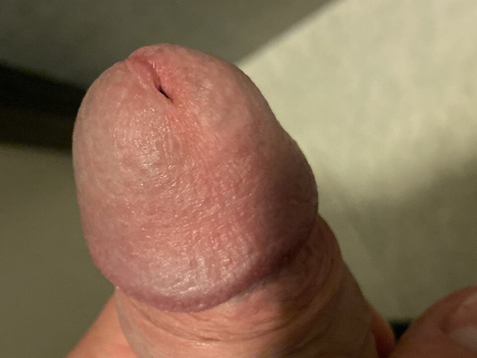 image.jpg - lordnorbi