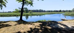 IMG_20220519_115909.jpg