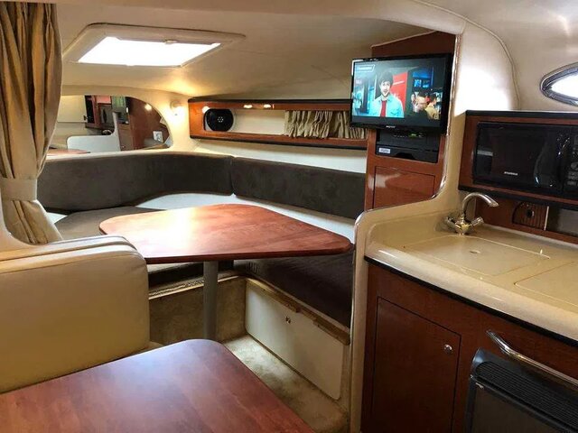 muszelka.jpg - kotimysza