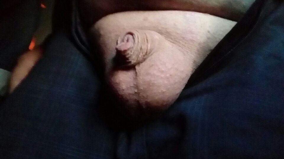 20220520_050006.jpg - oswald999