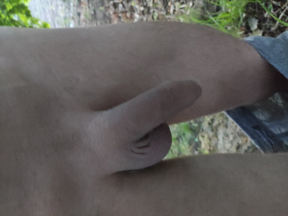 IMG_20220520_044354.jpg - Adamadam1978