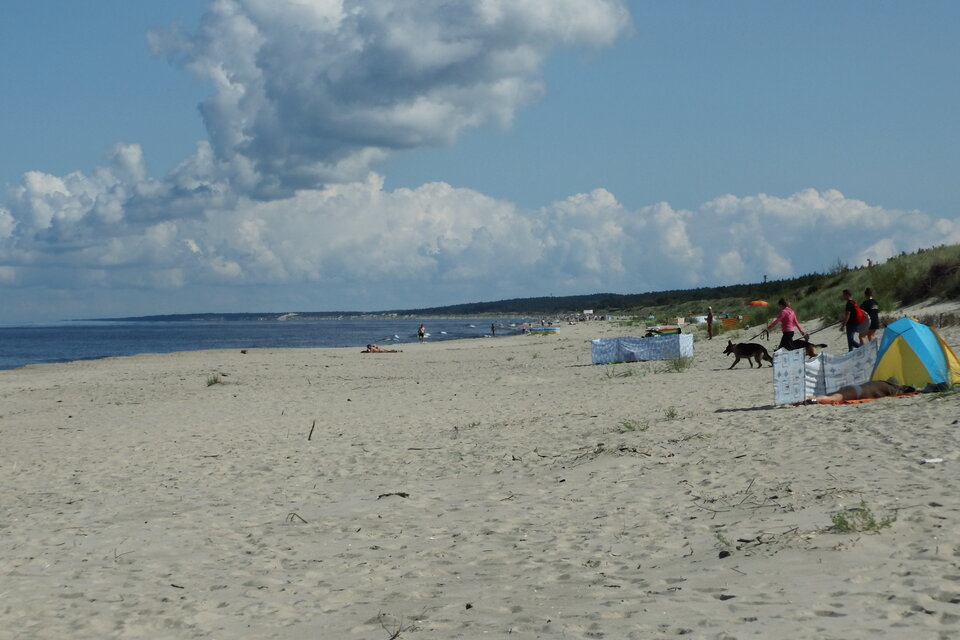 IMG_3890.JPG - ciekawy62