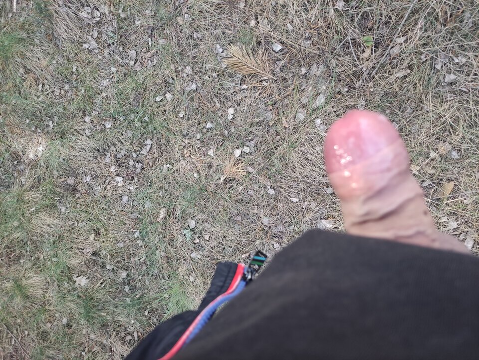 IMG_20220518_164115.jpg - krzyssuu