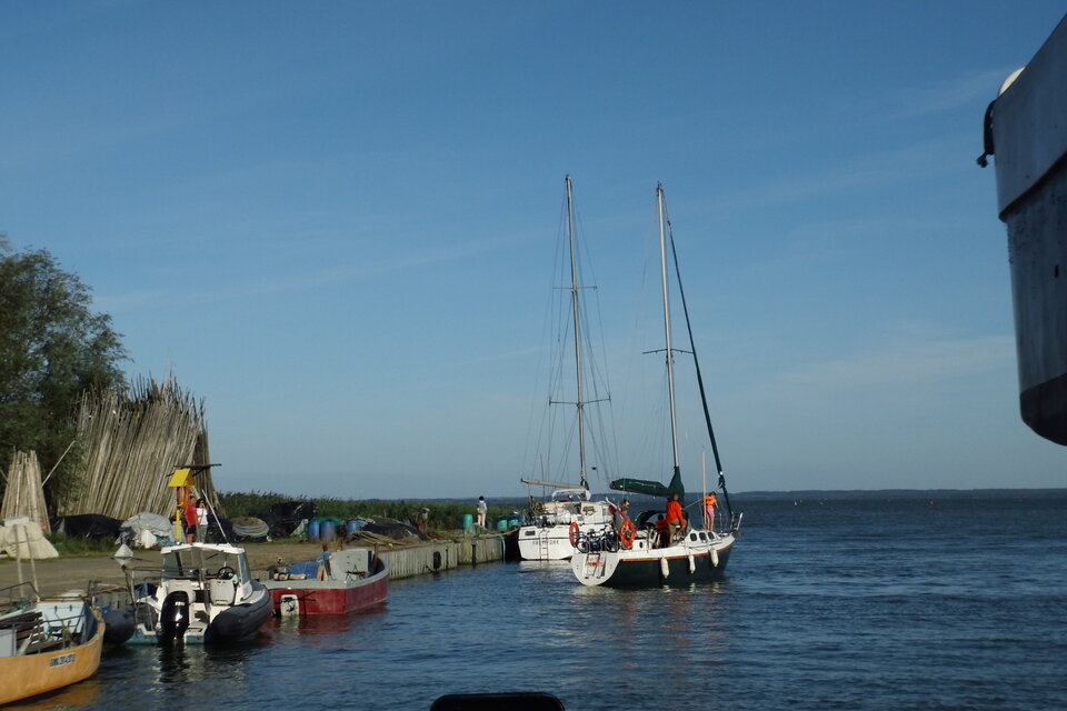 IMG_3527.JPG - ciekawy62