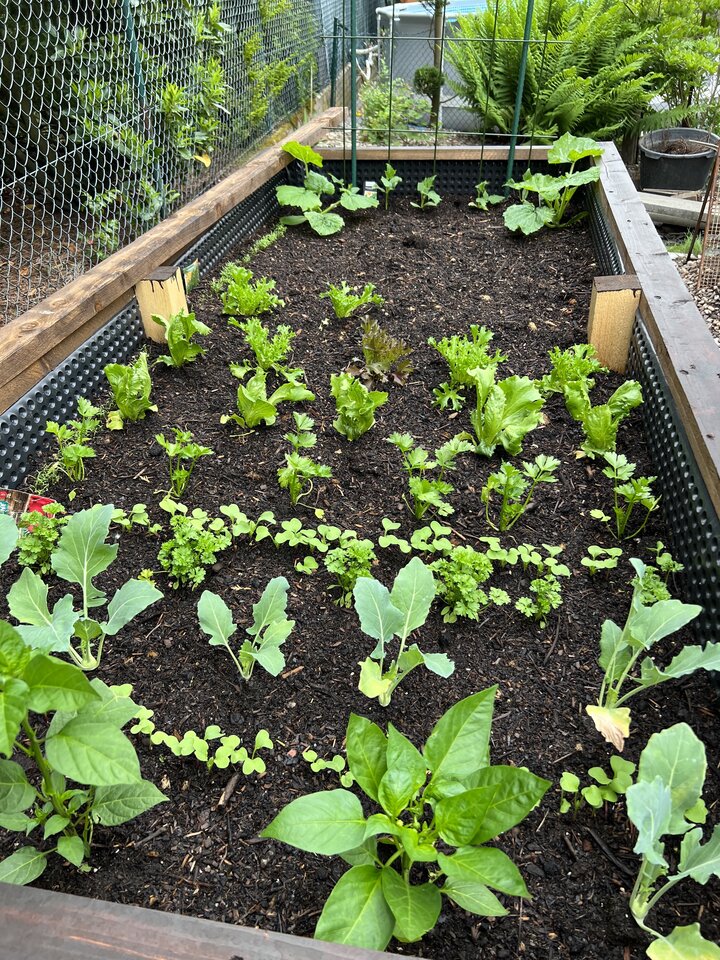 62691708-4FC7-435F-92C8-BB46D3621217.jpeg - nrw670n