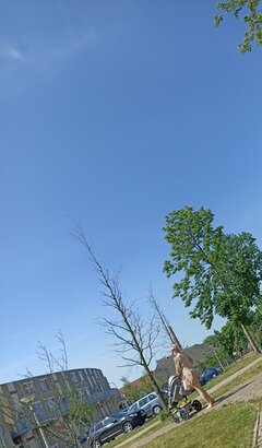 IMG_20220522_113145.jpg