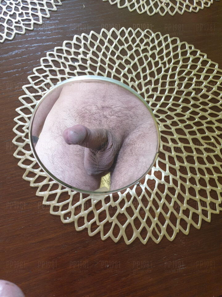 20220522_141304.jpg - pp1981