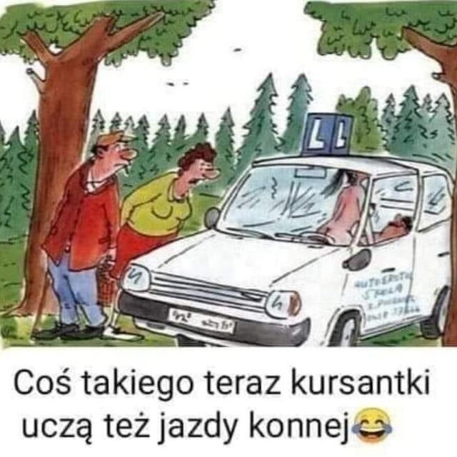 9FF9C084-CC94-4EAD-BC8D-E3421C562DE3.jpeg - 1yorkjo