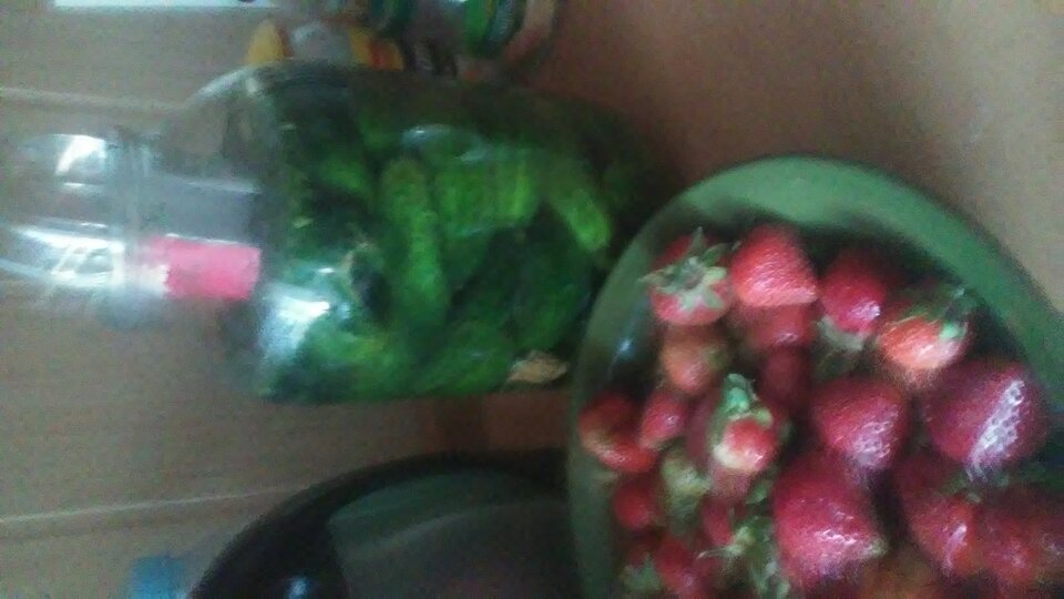 20220518_200749.jpg - TTT14