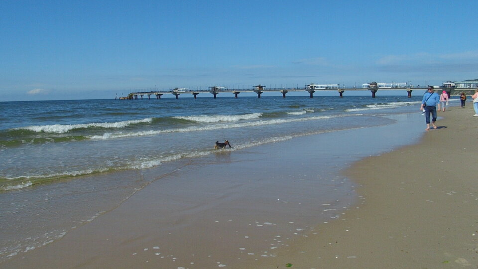 IMG_4211.JPG - ciekawy62