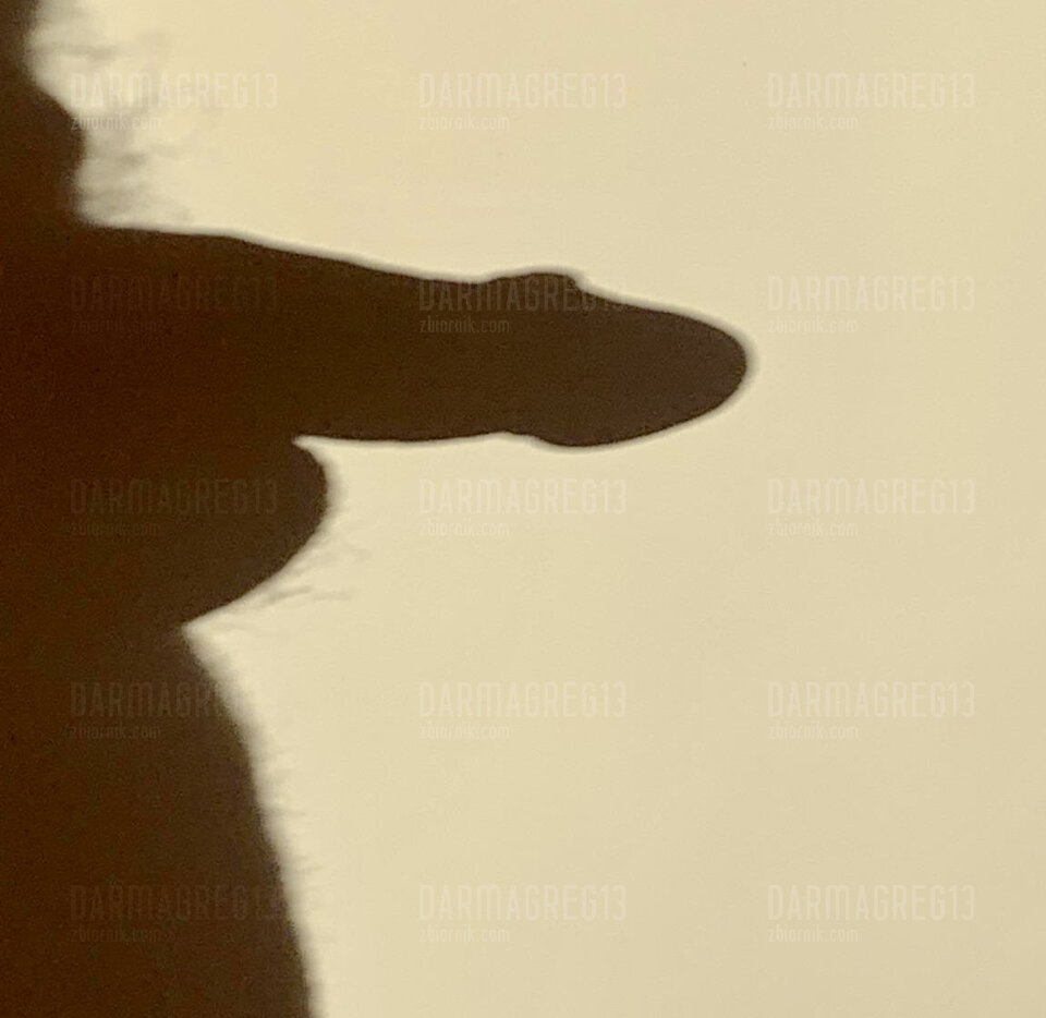 FBF27745-7942-4CC3-A9F7-E0AAF542CD96.jpeg - DarmaGreg13