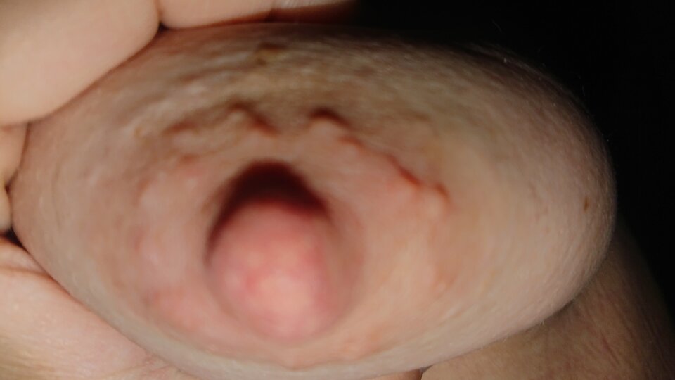 DSC_1348.JPG - Para_GB_Wawa