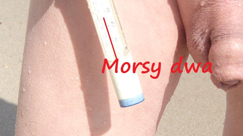 Zbiornik 1672 - Morsy_dwa