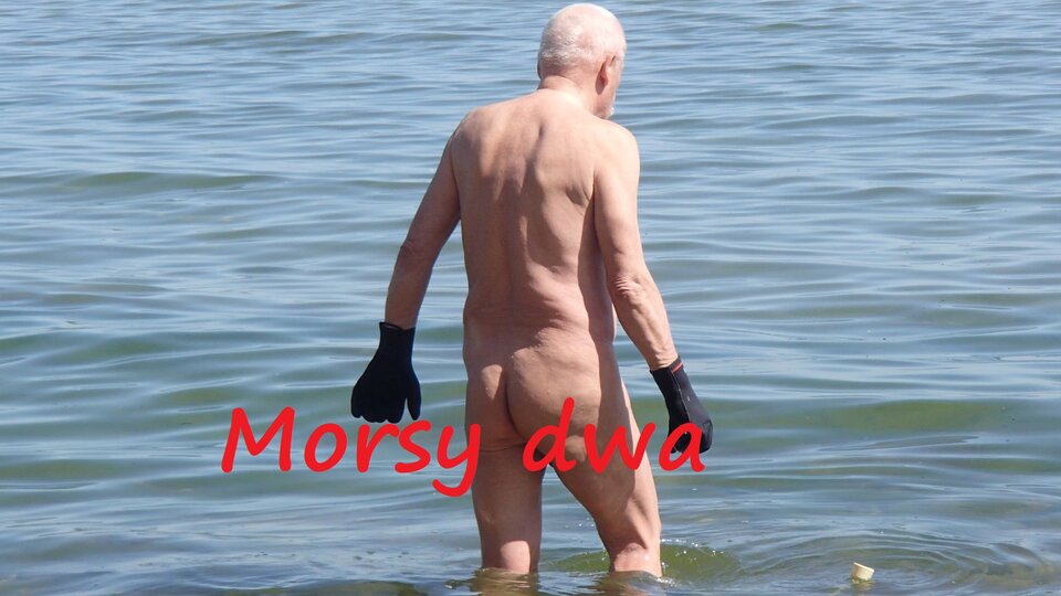 Zbiornik 1676 - Morsy_dwa