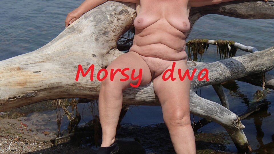 Zbiornik 1680 - Morsy_dwa