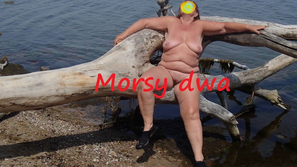 Zbiornik 1679 - Morsy_dwa